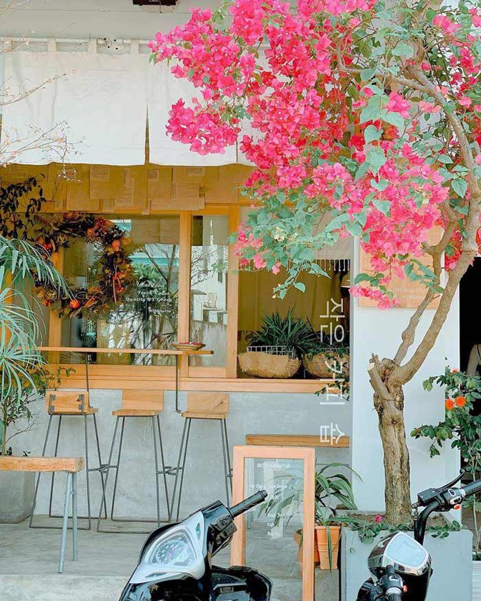 Homestay kết hợp quán cafe cho những tấm hình sống ảo đẹp lung linh