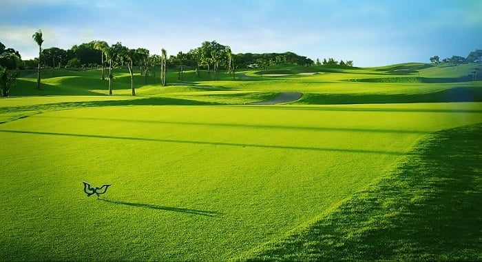 Sân Golf công viên nước Thanh Lễ