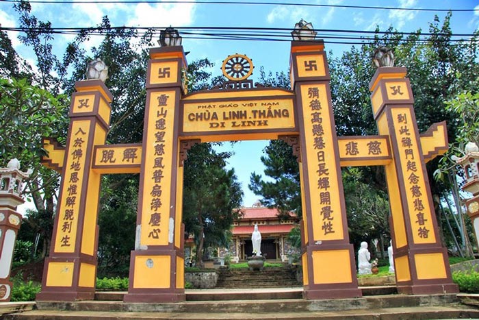 Di Linh có gì chơi – 6 điểm đến không thể bỏ qua - ALONGWALKER