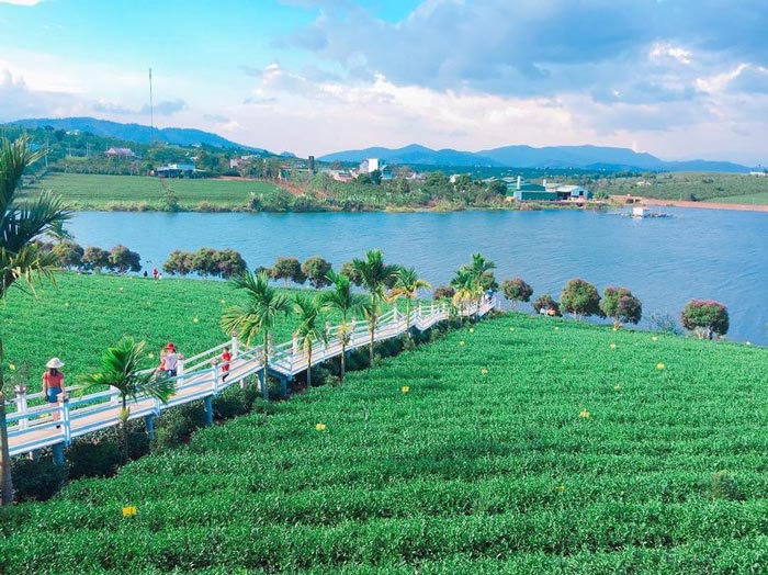 long đỉnh organic farm