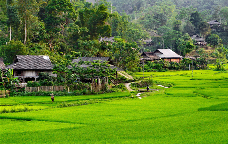 Bản Lóng Luông - Ảnh 10