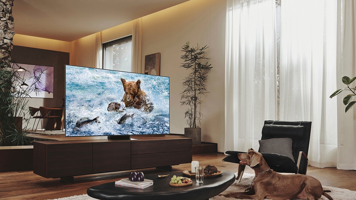 mua TV Samsung hoặc Sony - hình ảnh 3