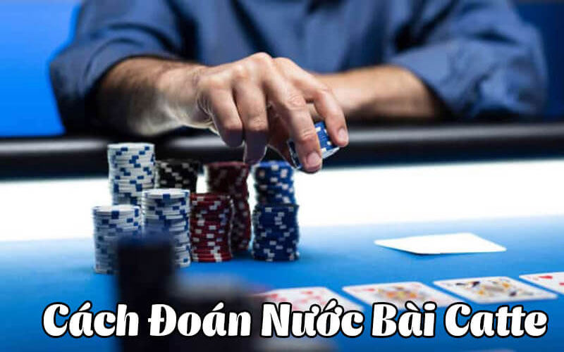 4 trải nghiệm chơi bài Catte tuyệt vời dành cho bạn