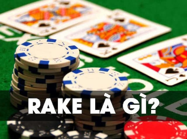Giải đáp chi tiết: Rake là gì trong poker