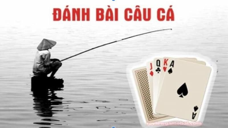 Cách chơi bài câu cá đơn giản mà ai cũng có thể học