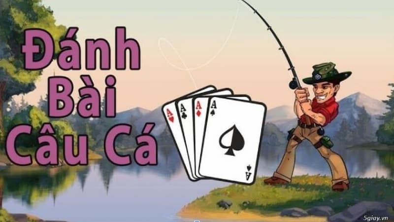 Cách chơi bài câu cá đơn giản mà ai cũng có thể học